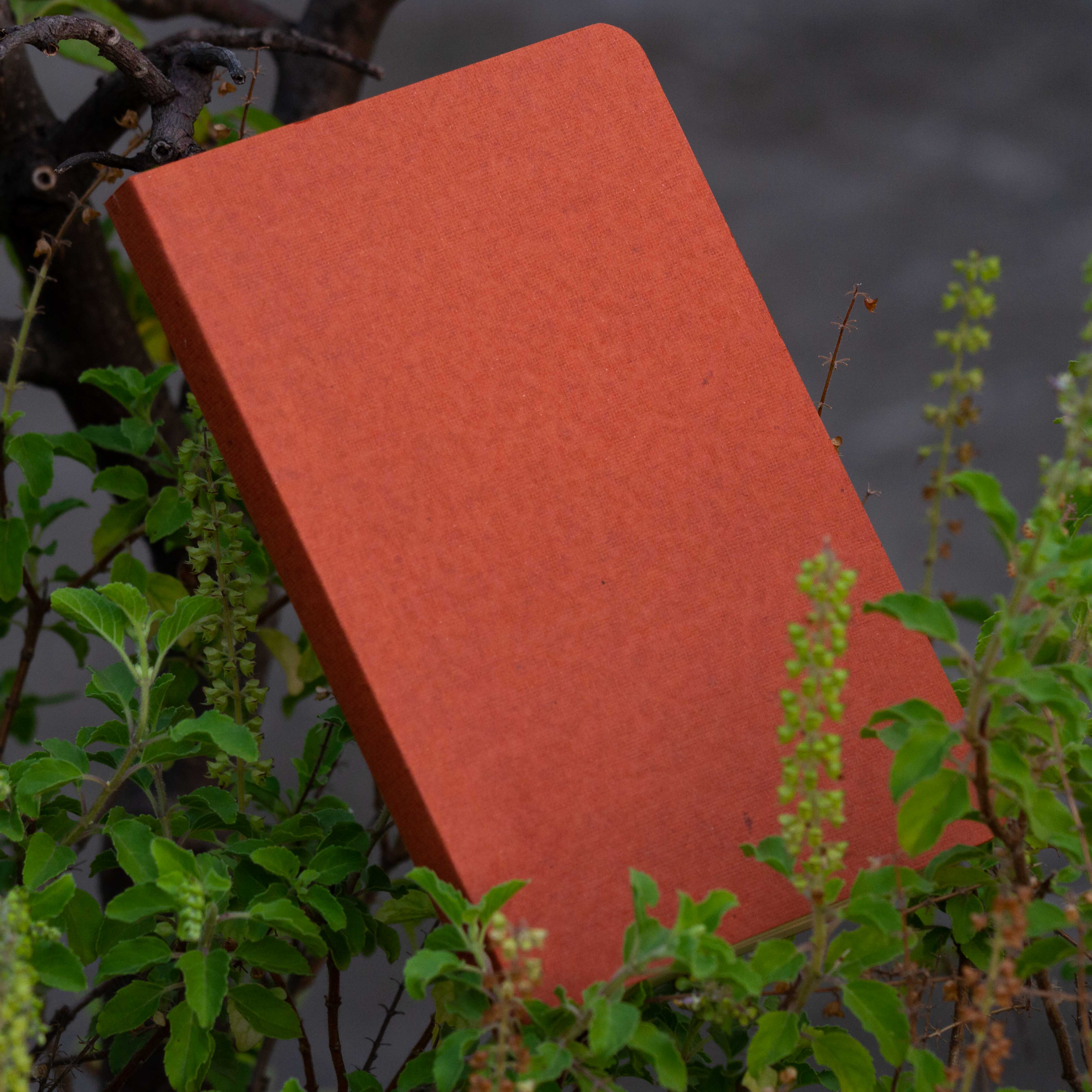 Tent Series Yellowish Page Hand Made Pinewood Texture Cover Notebook. 