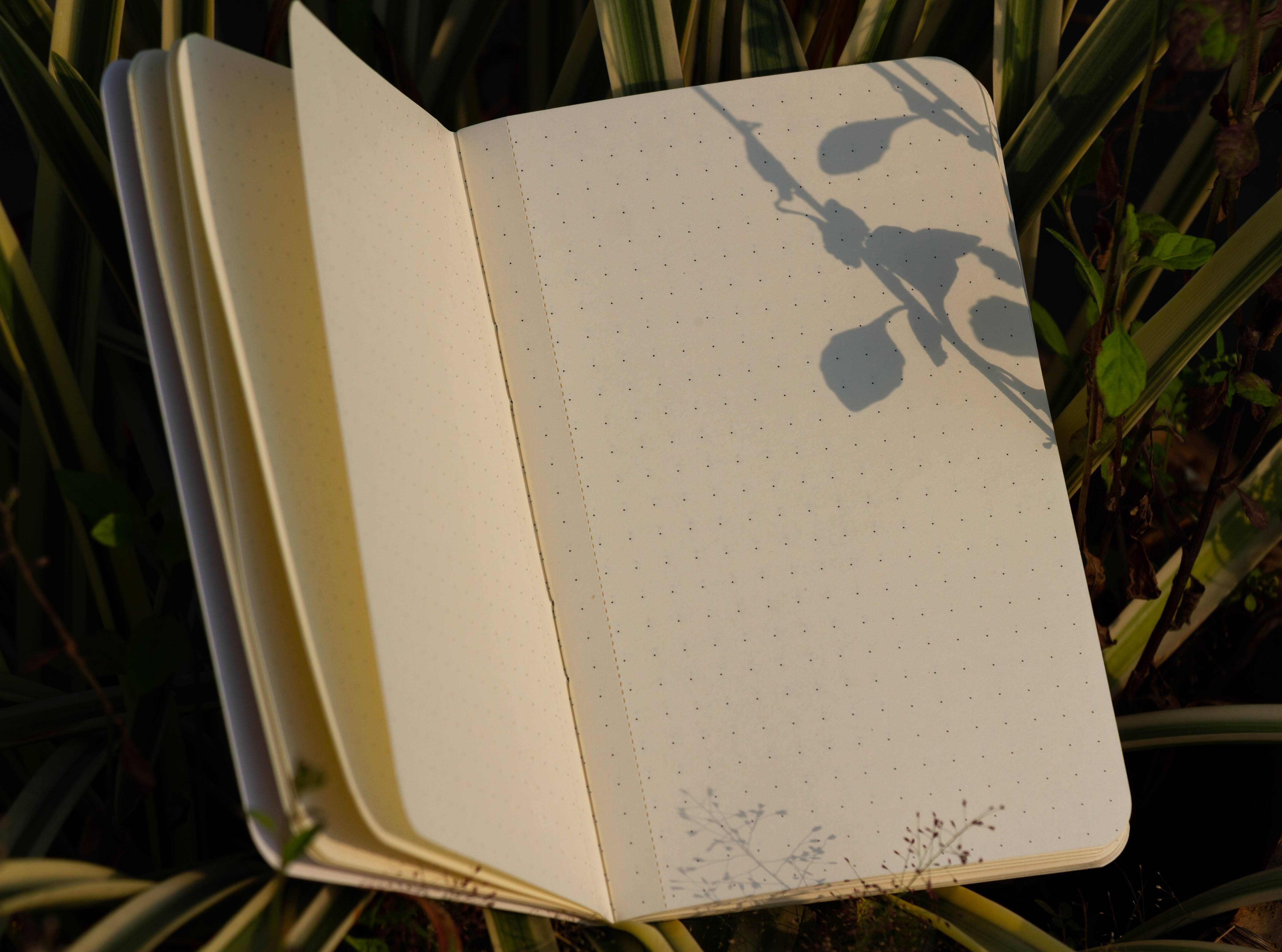 Dhaka Travel Size Dotted Graph Notebook (Sn202008122) - Notebook - notebook. 