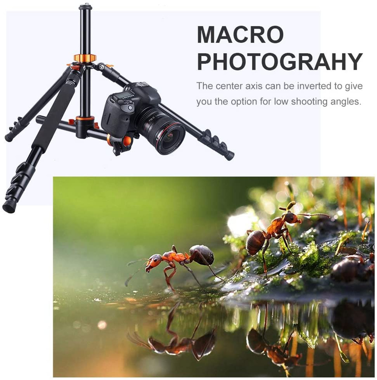 K&F Concept KF09.112 T255A3 Aluminum Overhead Ball Head Tripod with Monopod. 