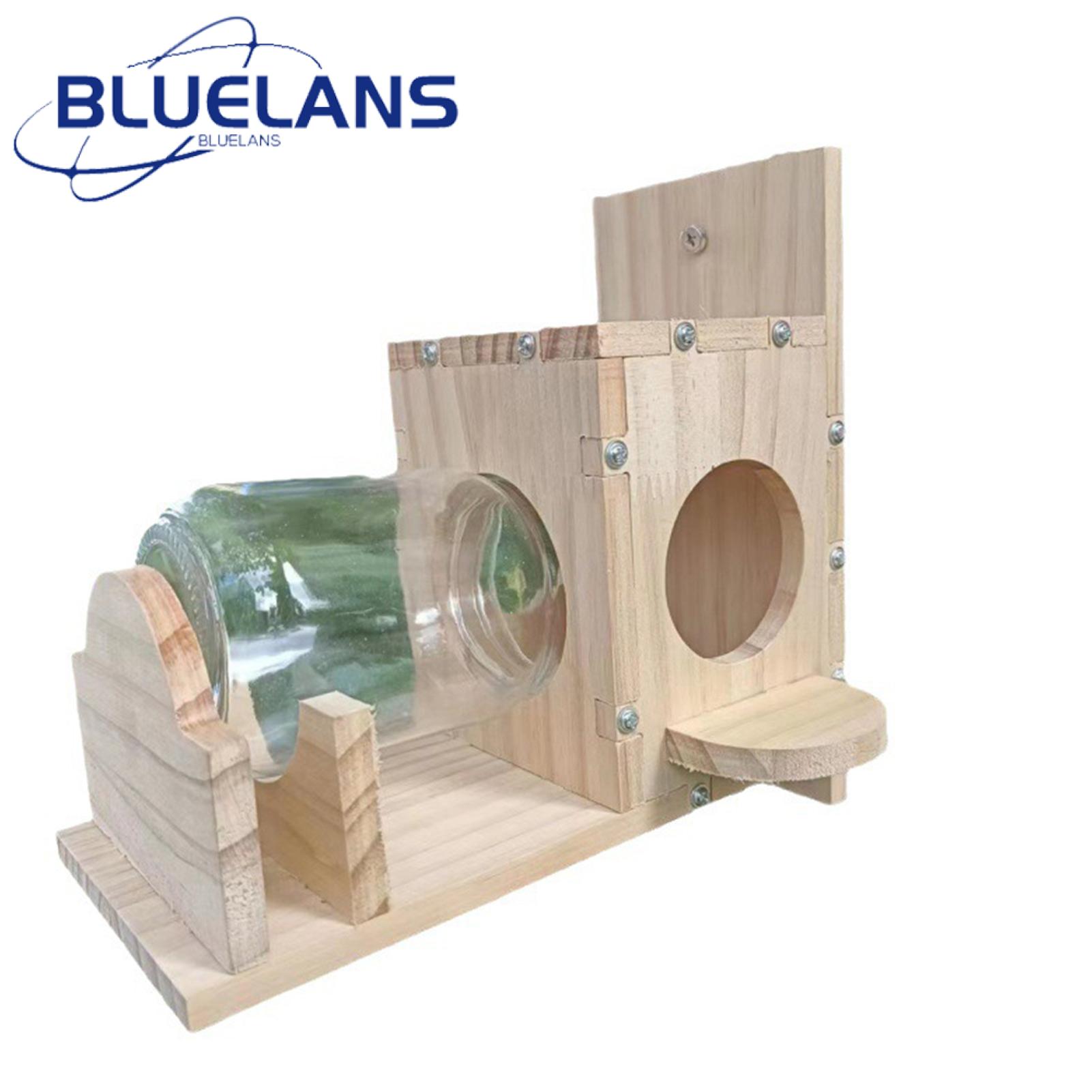 Wooden Squirrel Feeder Premium Glass Squirrel Feeder Easy Refill Weather-proof Garden Device for Outdoor Squirrel Feeding 500ml Capacity Easy Clean Squirrel Feeder. 