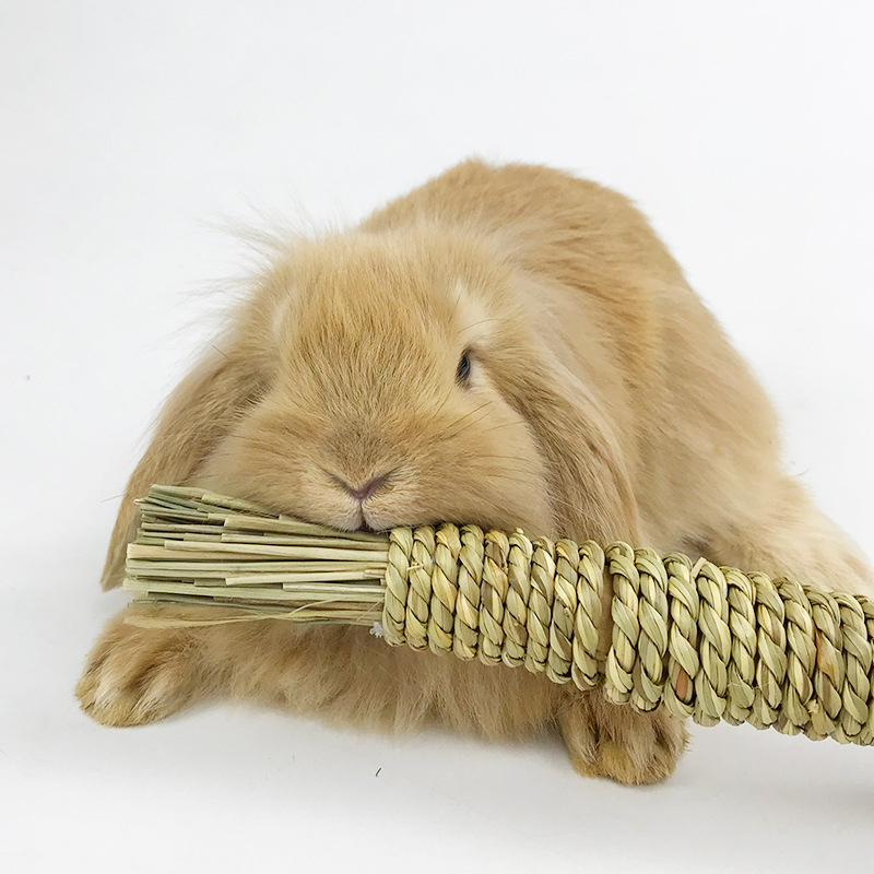 Rabbit Chew Toys Grass Woven Natural Rabbit Chew Carrot Rabbit Chew Sticks Sunlight Mall. 