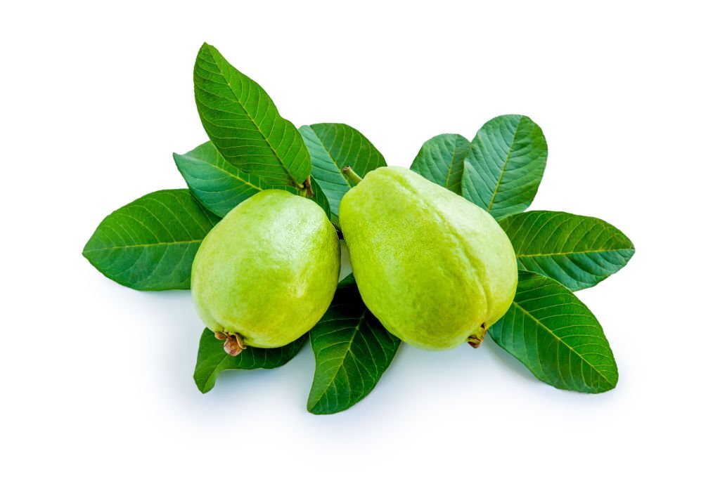 Highly Vital - Refined Taste - Hybrid Guava (pear) Fruit Seeds - 8 Pieces - Tools, DIY & Outdoor - Fun To Have - Modern and Trendy. 