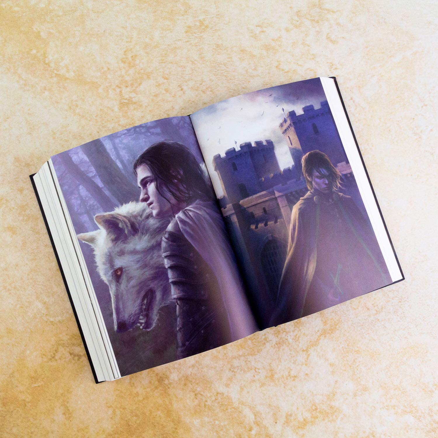 A Song of Ice and Fire 2 : A Clash of Kings (Illustrated edition): Book 2 Hardcover. 