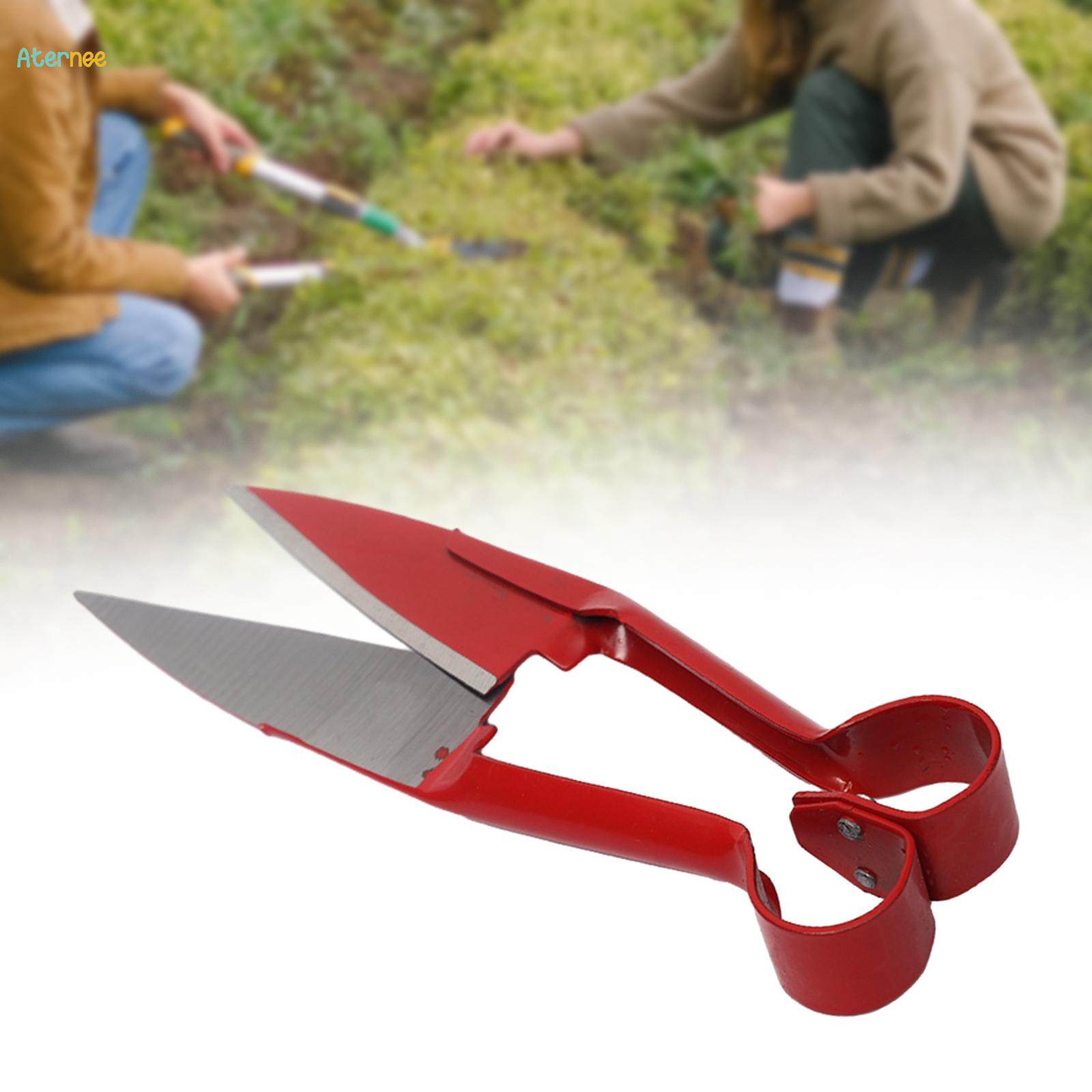 Garden Pruning Shear, Alpaca Shear, 10.24'' Gardening Gadget Nonslip Multipurpose Garden Prune Hand Pruning Shear for Park Bonsai Farm Home. 