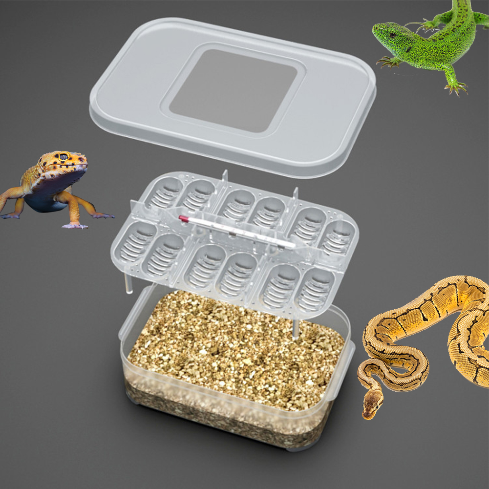 12 Compartments Hatching Eggs Device Snake Lizard Reptile Transparent Hatch Box Incubator Supplies. 
