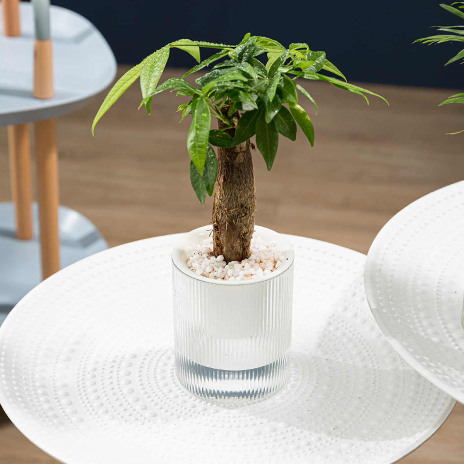 Container Eye-catching All-Purpose Automatic-Watering er Flower Pot. 