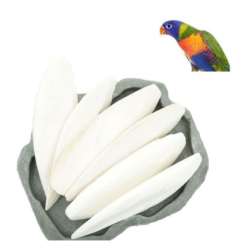 Cuttlefish bone for birds(Cuttlefish Bird Food)-50 gm
