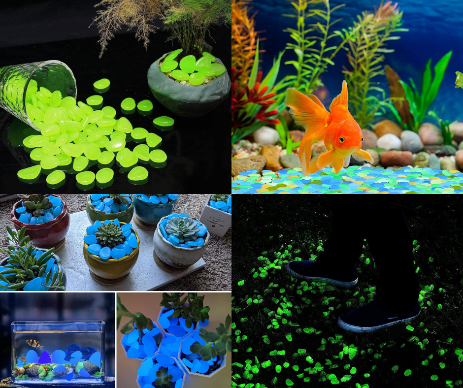 Aquariums Accessories at Best 25 Off on Daraz Buy Online