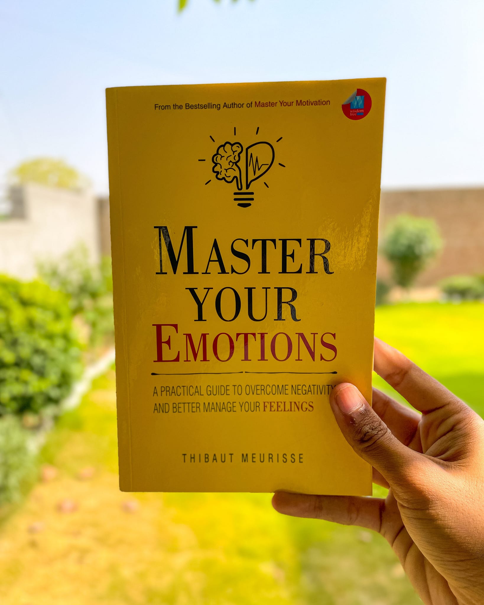 Master Your Emotions By Thibaut Meurisse Bd