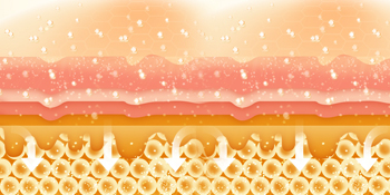 Picture of Penetration Capacity