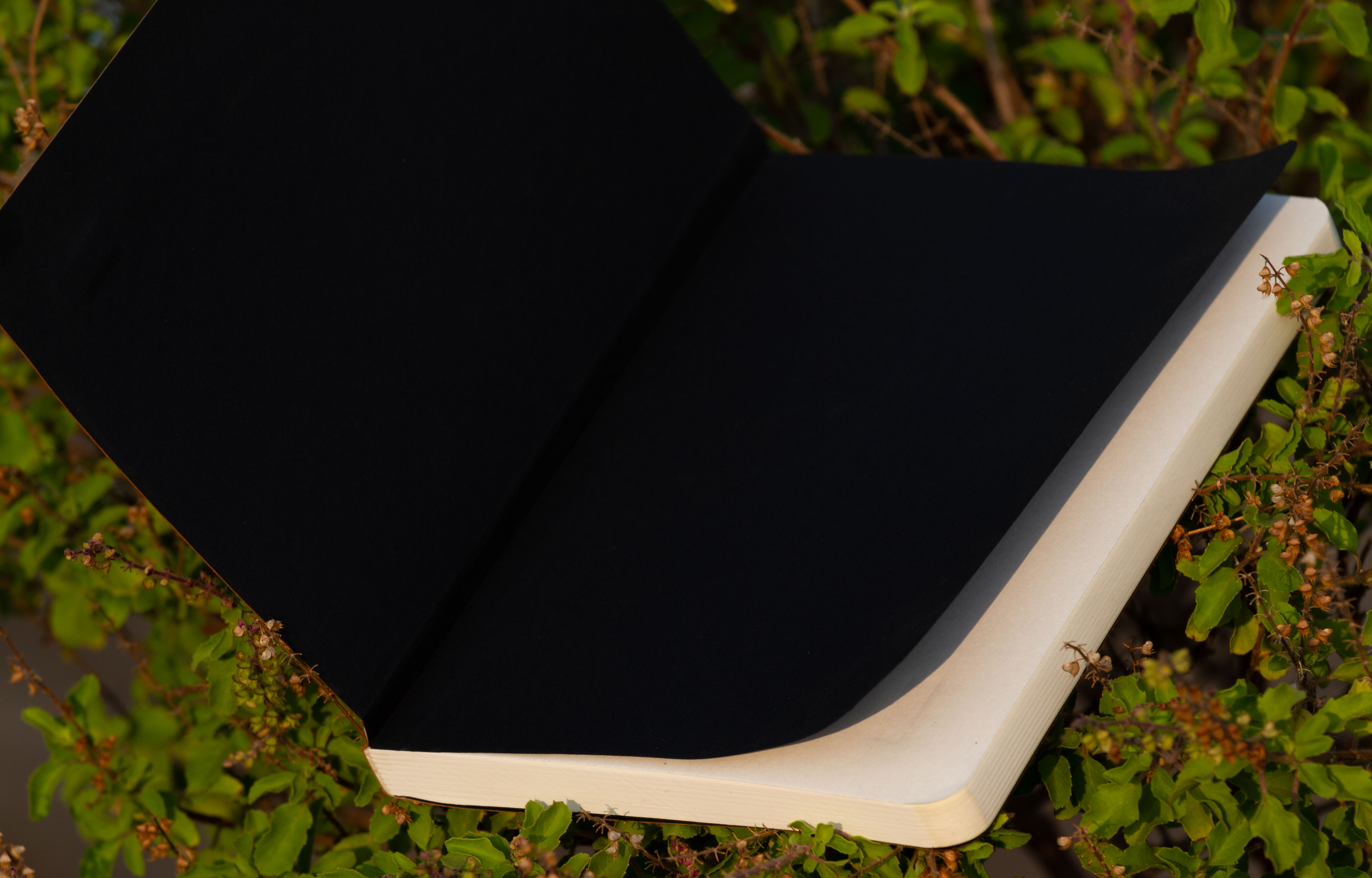 Daily Journal Black Notebook With Elastic Band - Notebook. 