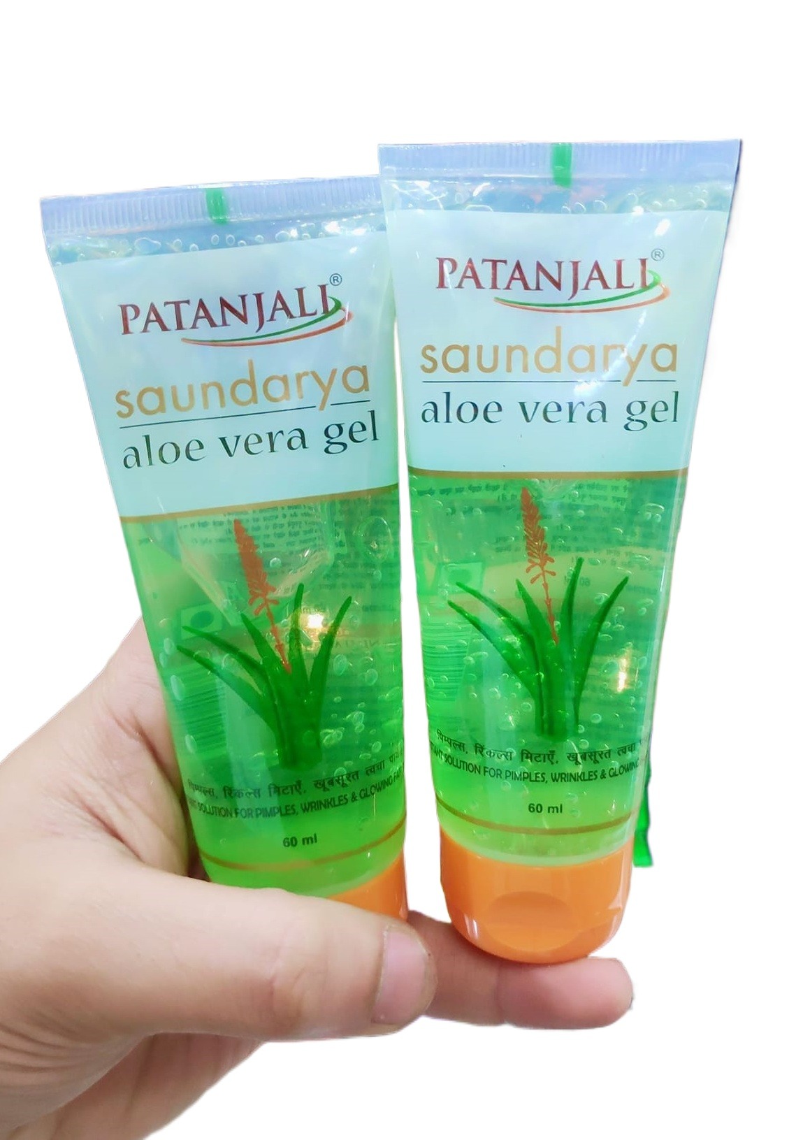 wie gut ist aloe vera wirklich Aloe Vera „Alfonso“ – Aloe-Vera-Pflanze in Gärtnerqualität kaufen main image 0