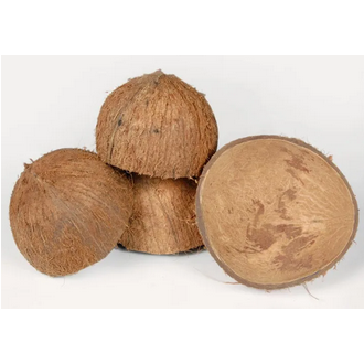 Coconut Shell 10 pieces for showpieces making coconut hard shell. 