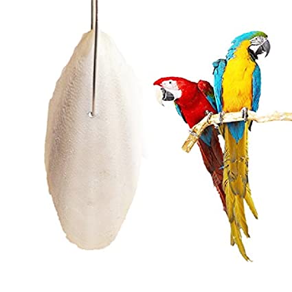 Cuttlefish bone for birds(Cuttlefish Bird Food)-50 gm. 