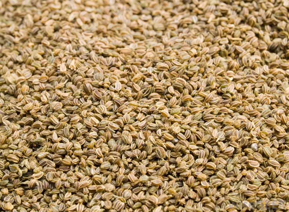 Dried Celery Seeds/Radhuni (sorted) -250Gm. 