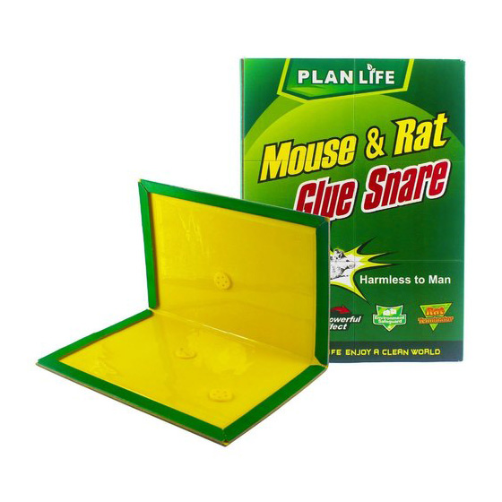 green live mouse and rat bond traps