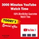 Youtube watch time 3000Minutes