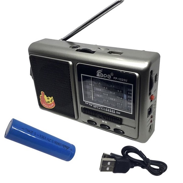 FEPE FP-1525U FM Radio With Multi Function Music Player AM/FM/SW