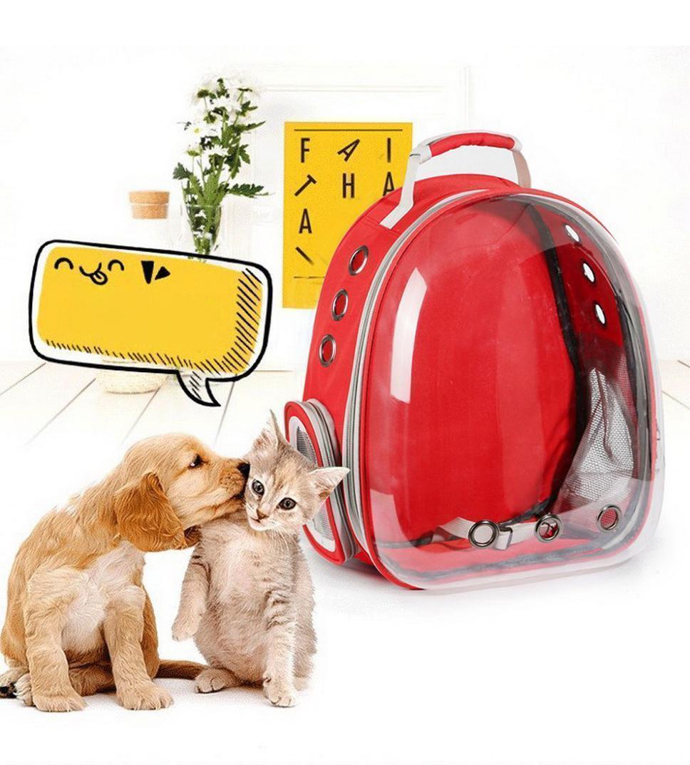 Dog Cat Transpar Carry Pet Backpack - Pet Zone BD