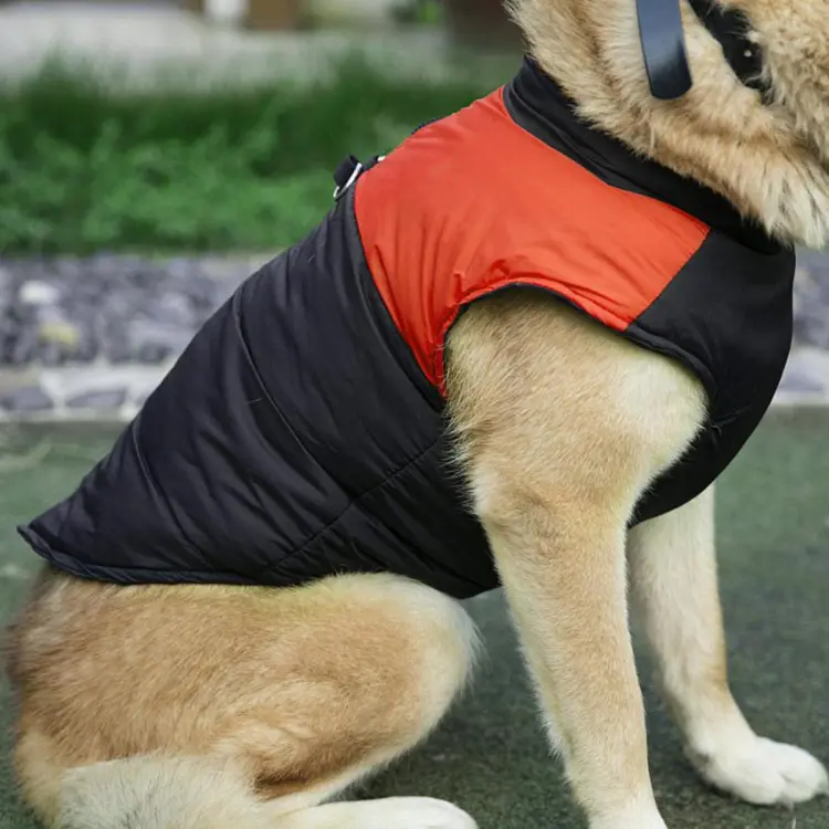 Down on sale dog coats