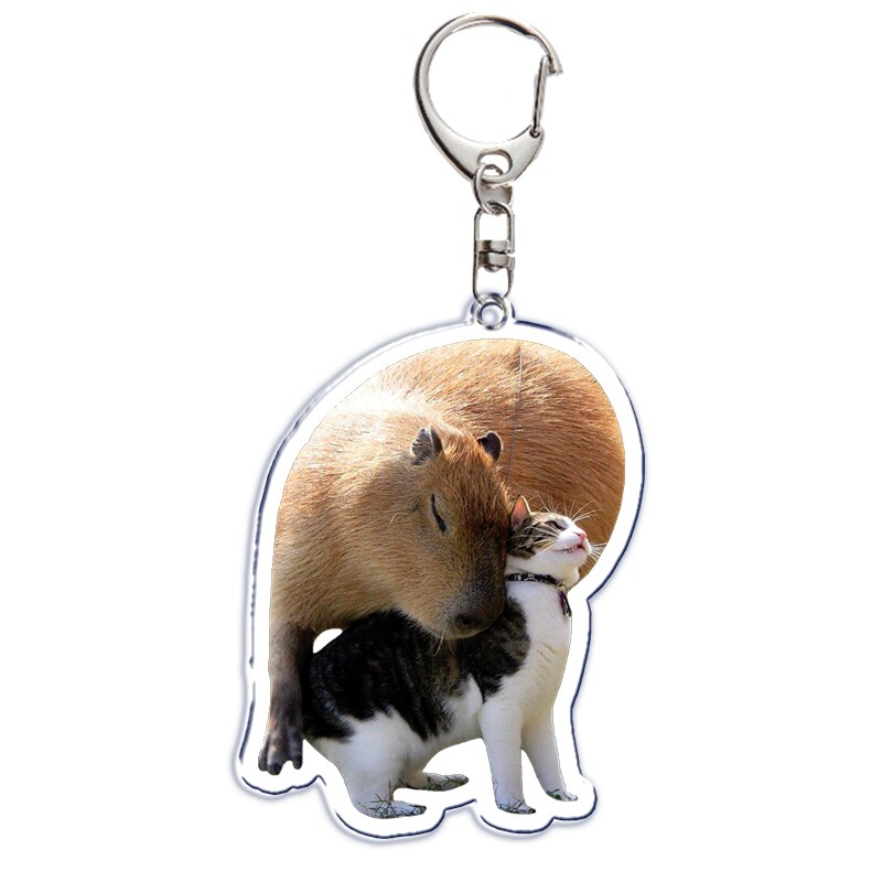 Fun Capybara Acrylic Keychain This Man Ate My Son Ok I Pull Up Letter Double Sided Key Chain Key Ring Keychains for Friends Gift. 