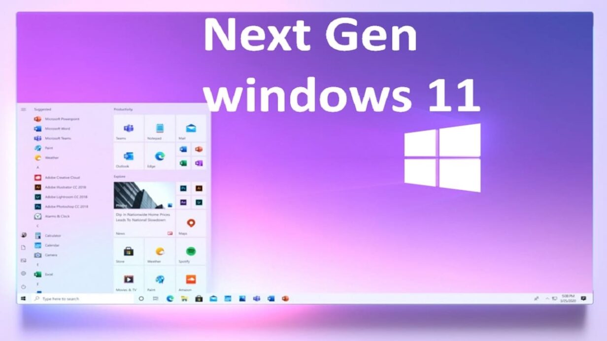Windows 11 ((Professional Disk)). 