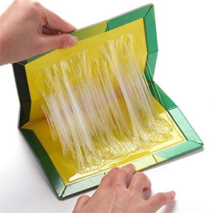 Mouse Rat Bond Traps Green Killer China (3 Pcs). 