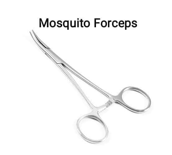 Mosquito Forceps Surgical Instruments