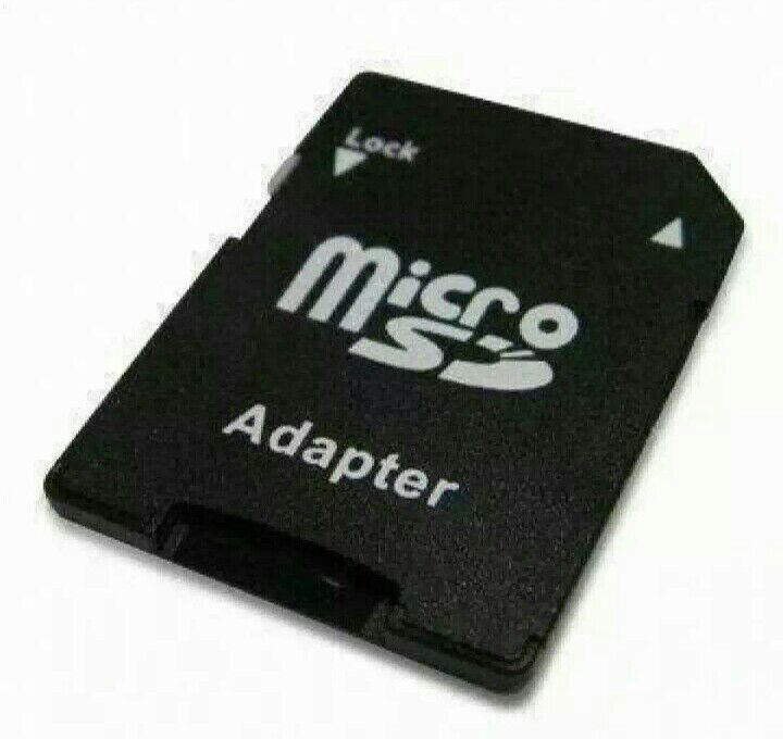 Micro SD to SD Memory Card Adapter. 