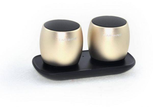 sardine bluetooth speaker
