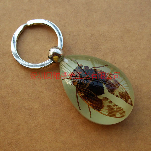Beja factory direct sales luminous insect specimens resin handicrafts tourism commemorative artificial amber car key chain