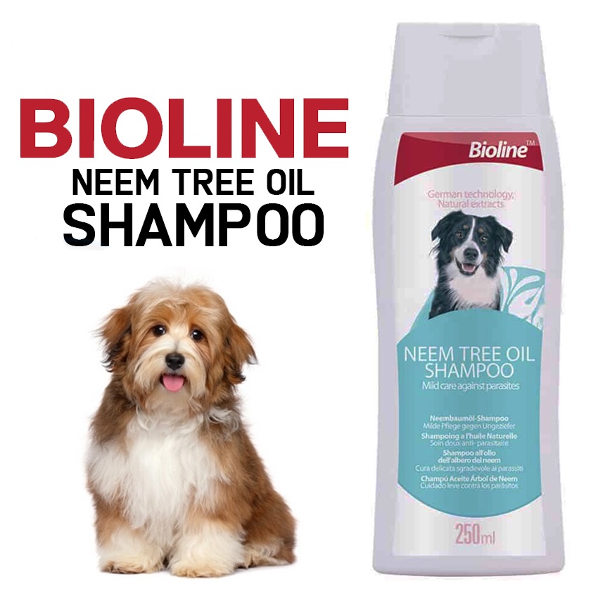 Bioline store dog shampoo