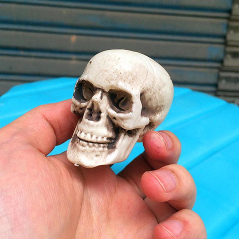 Halloween  Artificial Skull Head Model Skull Bone Scary Horror Skeleton Ornament