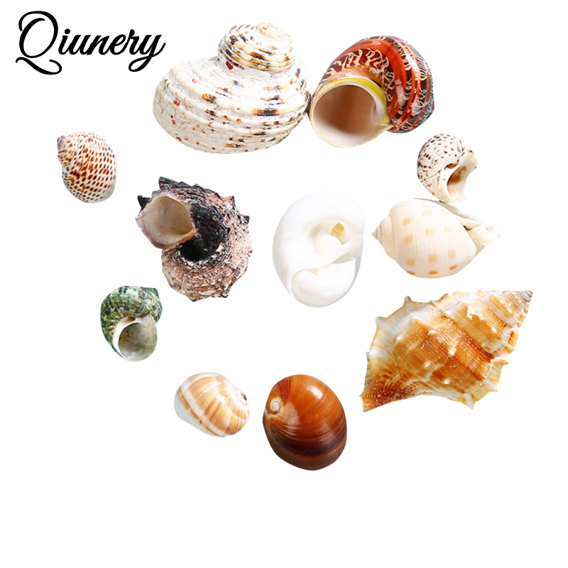 11pcs Hermit Crab Shells Medium Small Growth Turbo Seashells Sea Shell For Hermit Crabs. 