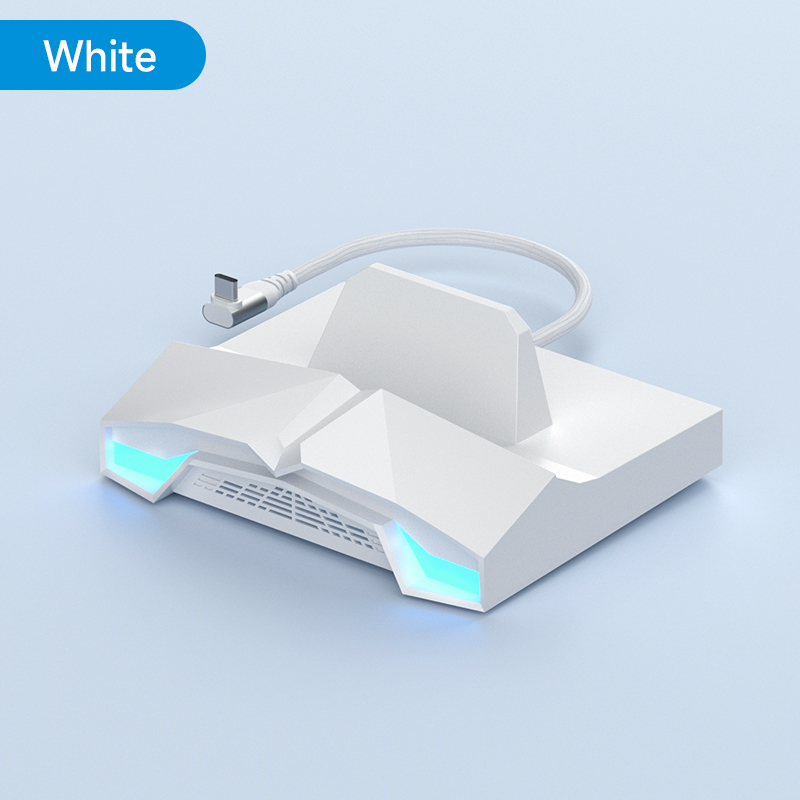 Hagibis ROG Ally/Steam Deck/Switch/OLED Dock 6 in 1 Universal Docking Station With 4K HDMI 2.5G RJ45 100W PD RGB Light USB C Hub. 