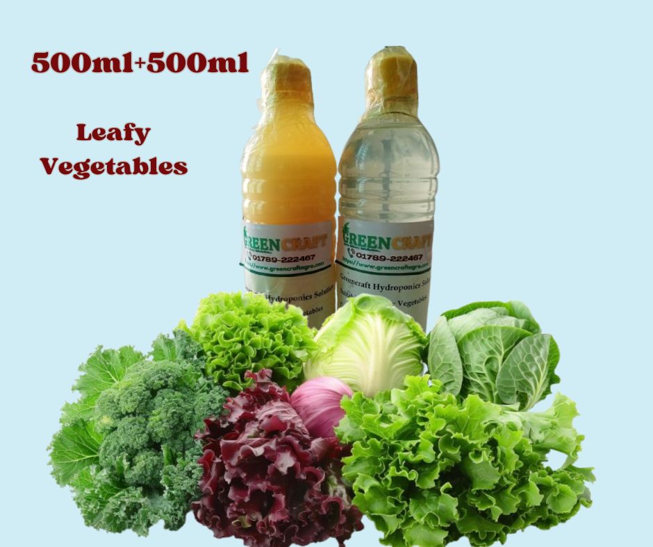 Hydroponics Nutrient Solution, Solution A & B, Best for Soilless Gardening for Leafy Type Vegetables