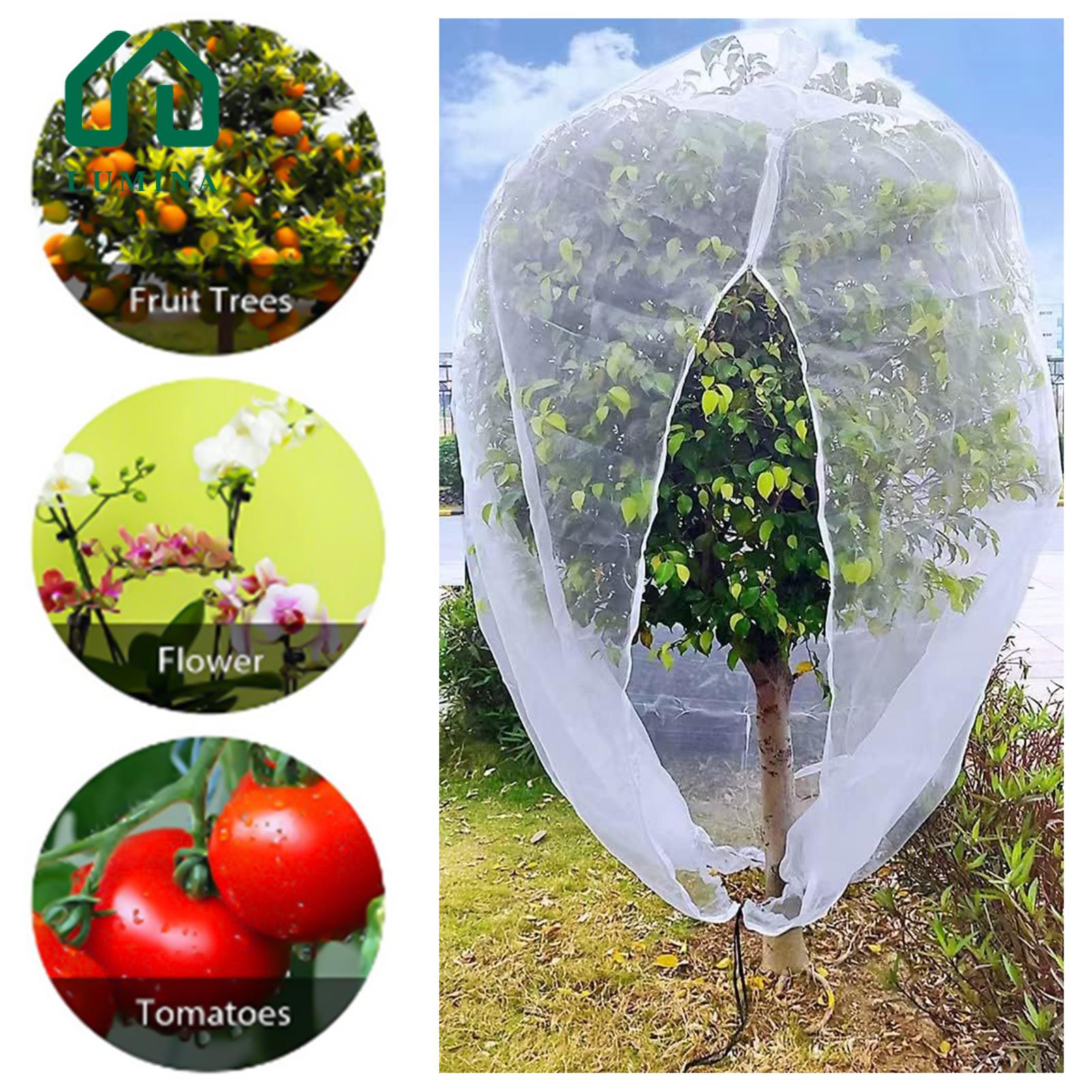 Lumina Environmentally Friendly Plant Netting Protect Garden with Breathable Bird Insect Barrier Netting Essential Plant Cover for Fruit Trees Zipper Design Water Permeable Buy Insect-proof Mesh Bag. 