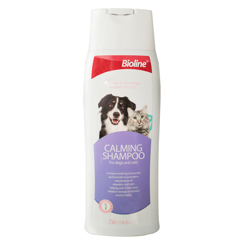sebazole dog shampoo