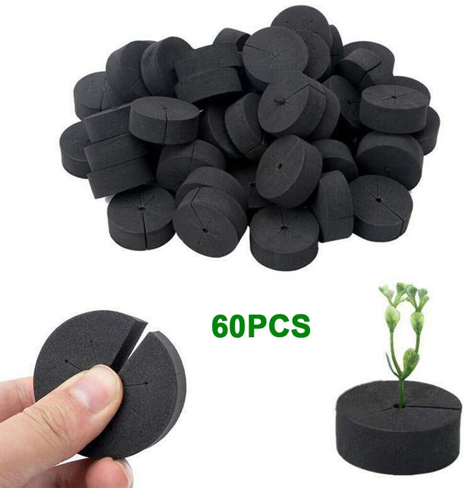 collars, vegetable grade foam inserts, hydroponic system, balcony germinate in DIY cloning machine and cloning machine (black). 