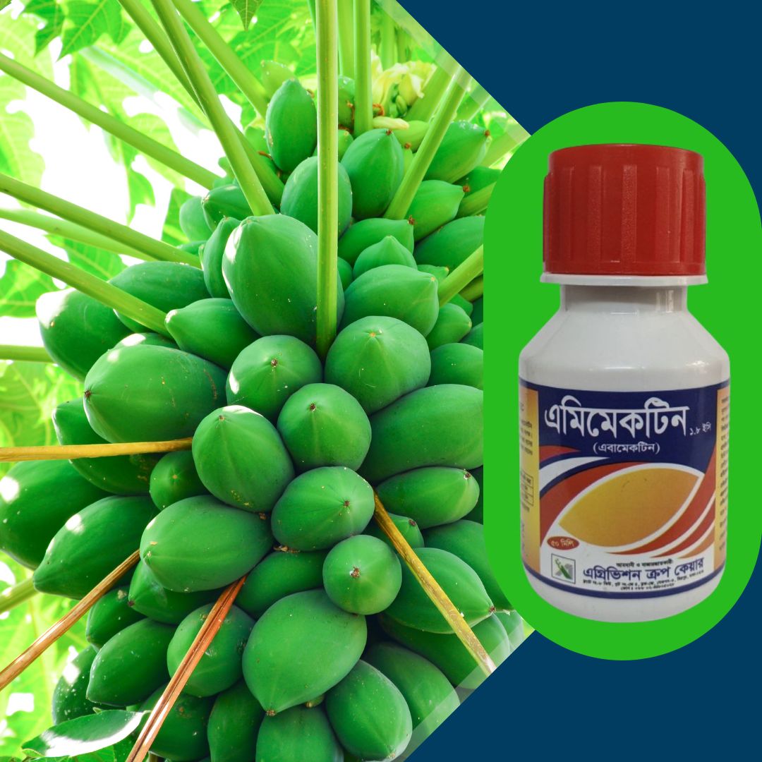 Insecticide: Amimectin 1.8 EC (Abamectin 1.8%)- 50 ml. 
