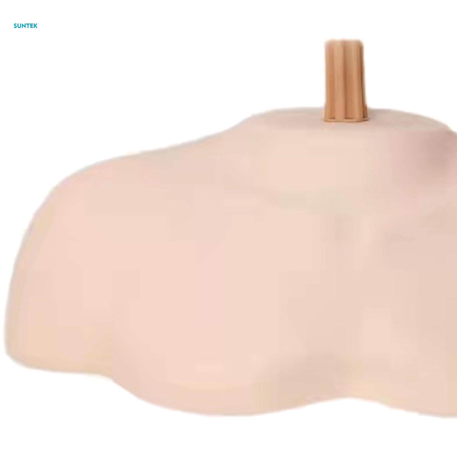 Cosmetology Mannequin Model Bust Shoulder Platform for Display S. 