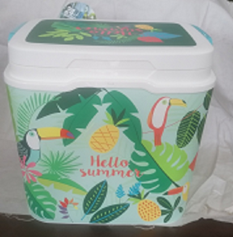 Thermal Ice Box 25 L. 