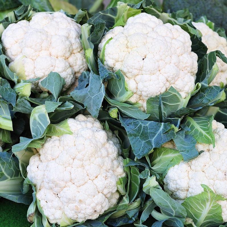 Nifty Niche - Hybrid cauliflower (Fulkopi) seeds 1 intake packet (05 gram) - Tools, DIY & Outdoor - Modern and Trendy- Delights. 