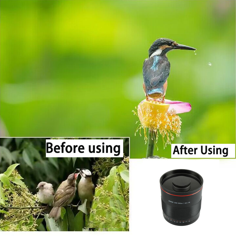 Lightdow 900mm F8.0 Telephoto Mirror Lens Camera Lens for Canon Eos Rebel T2i 50D 40D 850D 800D 600D 4000D 2000D 1300D 1200D. 