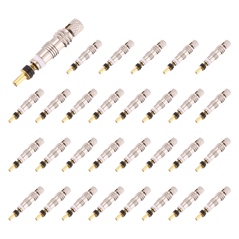30 Pcs Presta Valve Core Bike Replacement Tubeless Core for Tubeless Road Bike,Bicycle Accessories