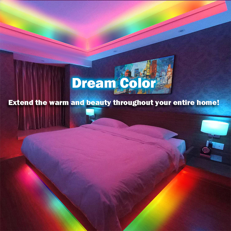 TUYA LED Strip Lights WS2812 RGBIC Addressable Strip Light with Chasing Effect Wifi USB 5V Smartlife Dreamcolor For TV Bedroom. 