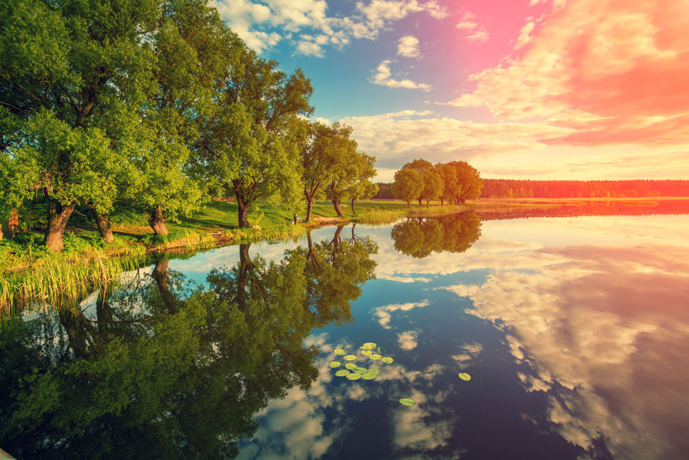 CNVS-499 60″ inch x 36″ inch  Moring Lake Nature Wall Canvas Art Prints. 
