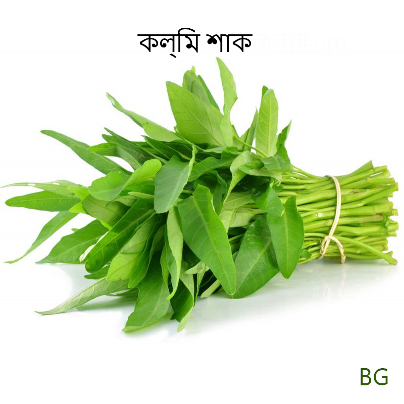Kolmi Shak Kangkong Water Spinach 150+ seeds. 