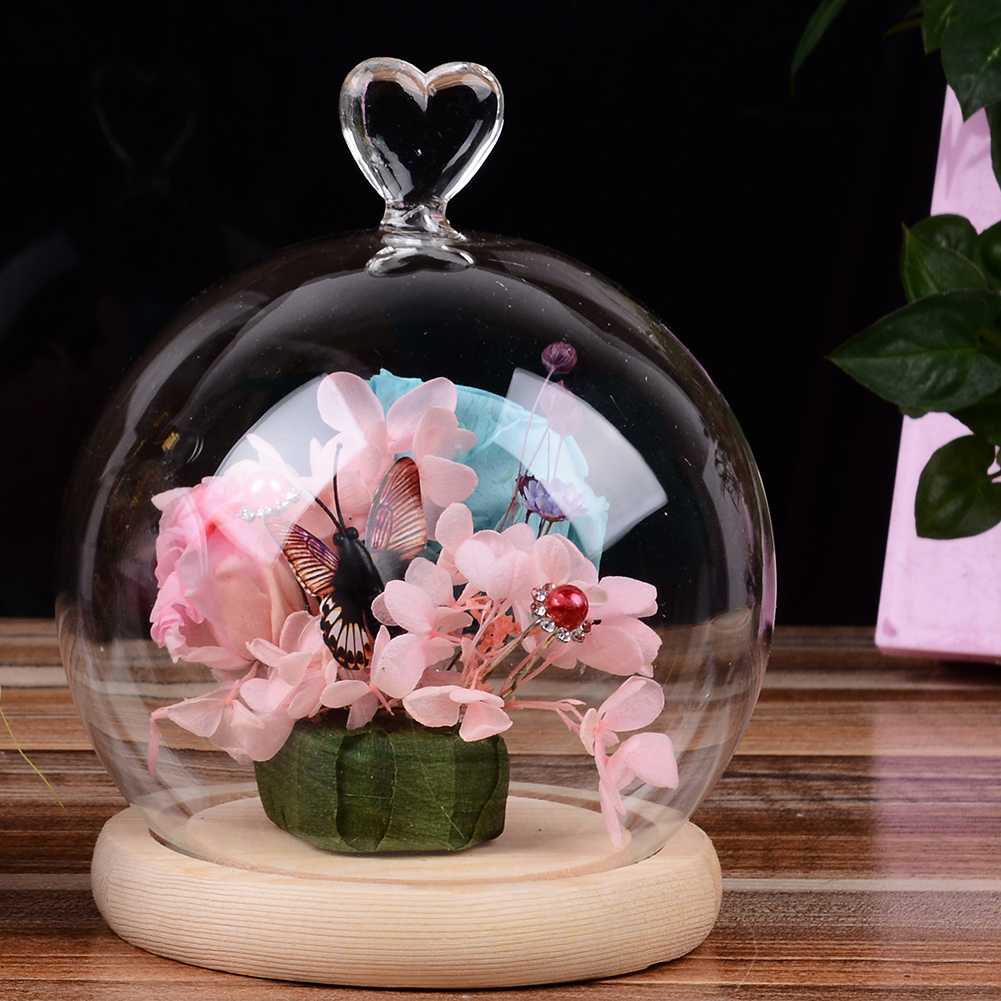 Glass Globe Display Dome Cover with Wood Base art Shape Handle e Decoration. 