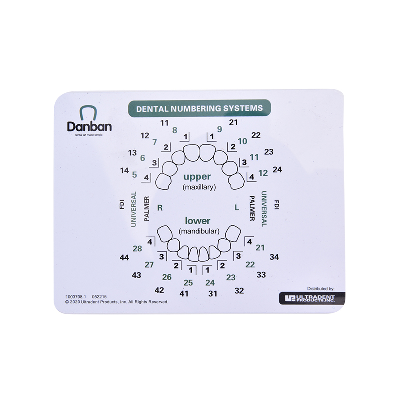 Dental Instruments Veneers Mould Composite Resin Light Cure Anterior Front Teeth. 